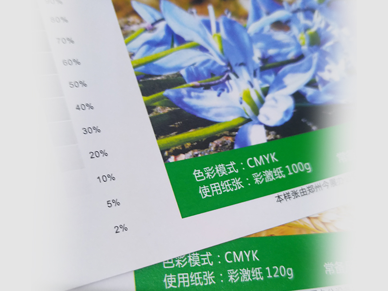 彩激紙