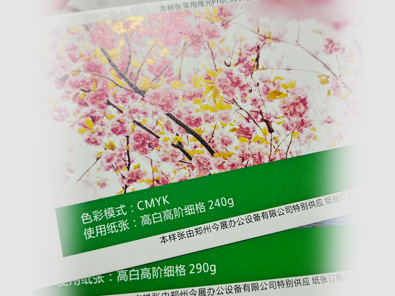 高白高階細格