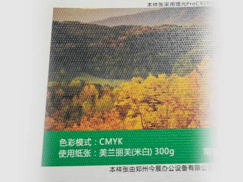 美蘭麗芙