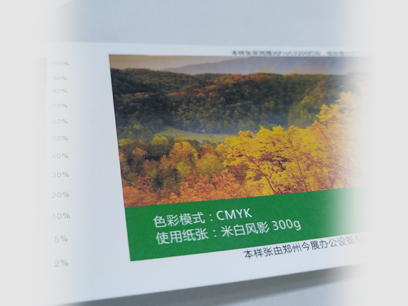 米白鳳影
