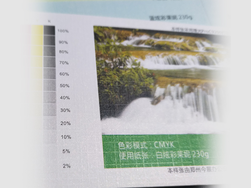 白炫彩萊尼