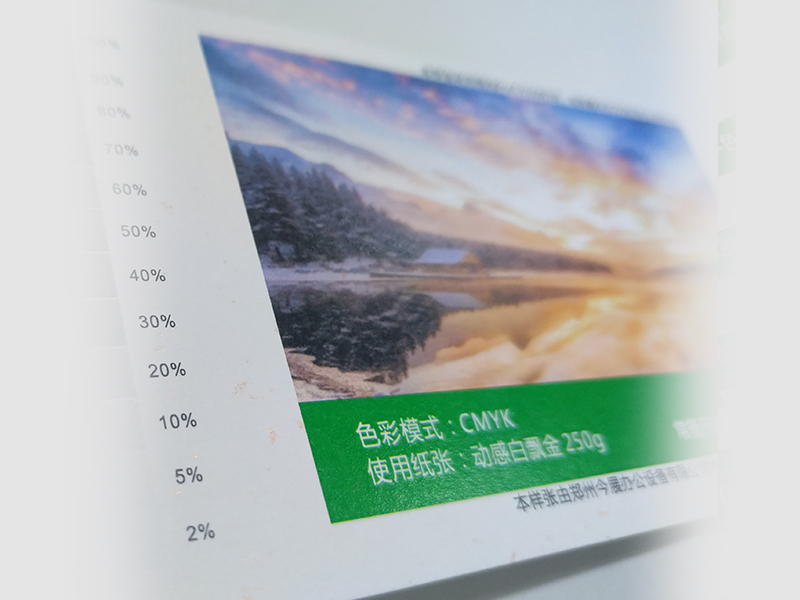 動感白飄金